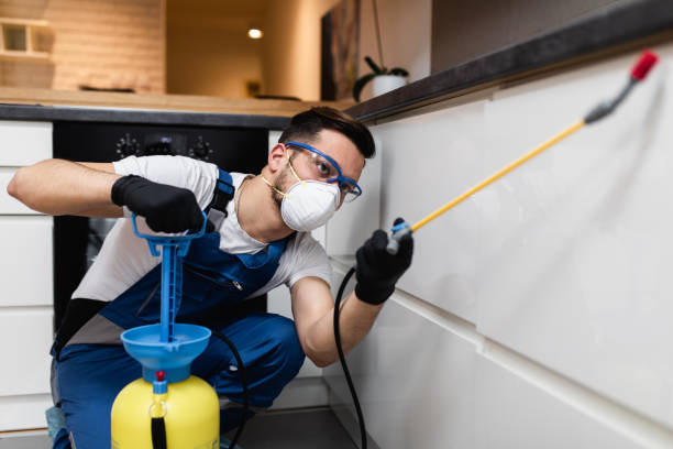 Best Termite Control Services  in University Gardens, NY