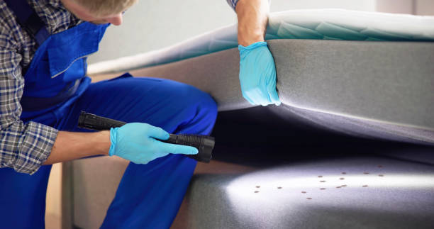 Best Mosquito Control Services  in University Gardens, NY