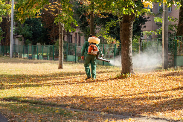 Best Best Pest Control Companies  in University Gardens, NY