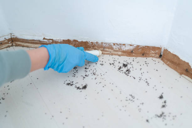 Best Pest Inspection Near Me  in University Gardens, NY