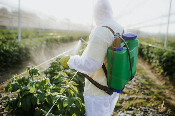 University Gardens, NY Pest Control Company